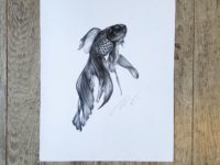 "Black Fish" by April Alayne ORIGINAL GRAPHITE DRAWING